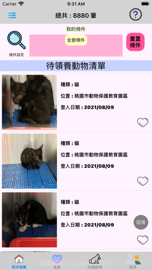 帮它找个家截图1