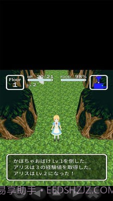 爱丽丝与不思议的迷宫截图5