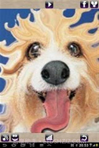 照片变形器截图3