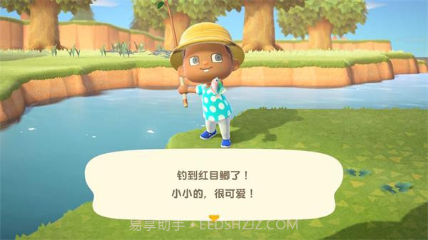 动物之森v6.2.7免费版截图2