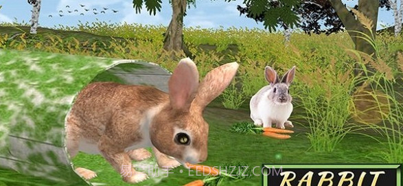 兔子模拟器截图1 兔子模拟器截图1