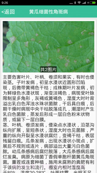 种好地截图3 种好地截图3