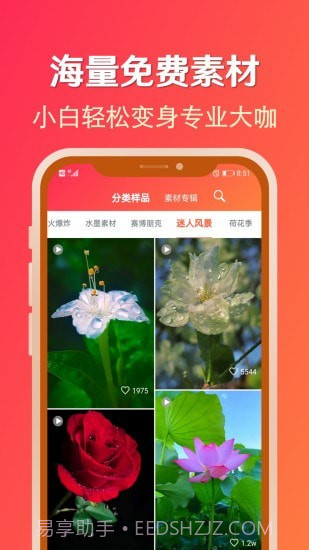 淘素材截图2 淘素材截图2