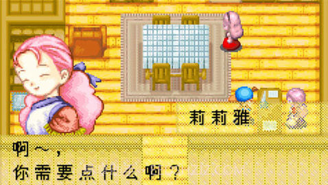 牧场物语截图1 牧场物语截图1