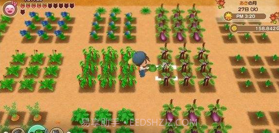 牧场物语再会矿石镇截图2