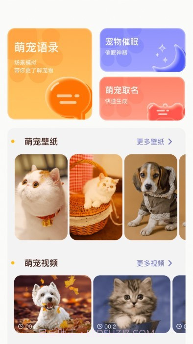 萌宠日常翻译器截图4