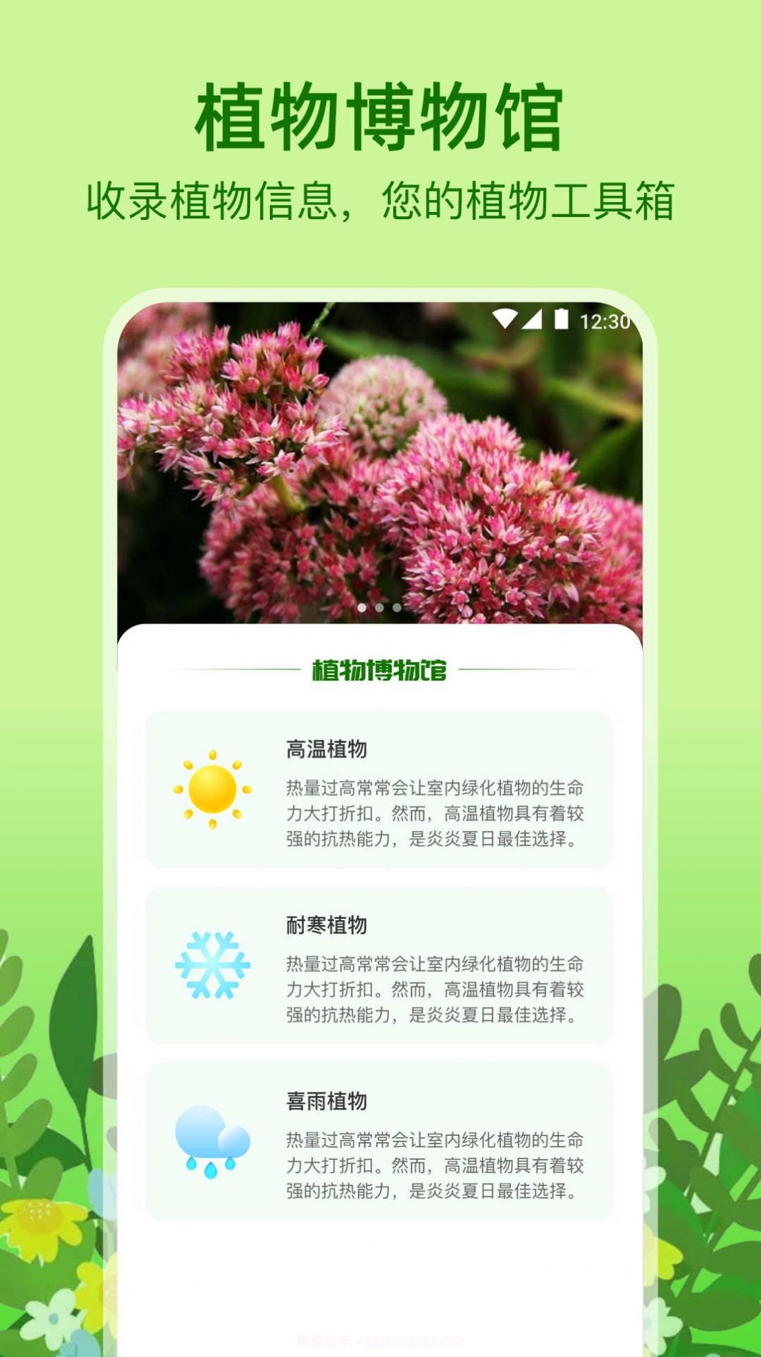 植物天气截图3