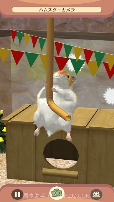 我的仓鼠无限金币版截图1