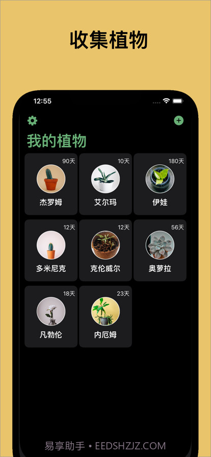 植物猎人截图4 植物猎人截图4