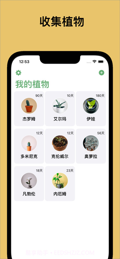 植物猎人截图1 植物猎人截图1