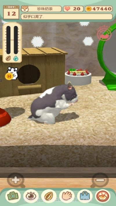 我的仓鼠无限金币版截图2