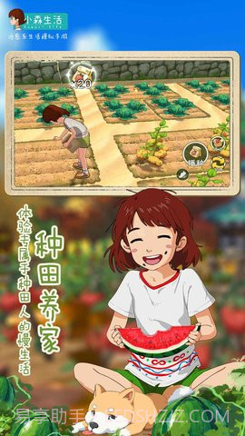 小森生活无限金币截图2