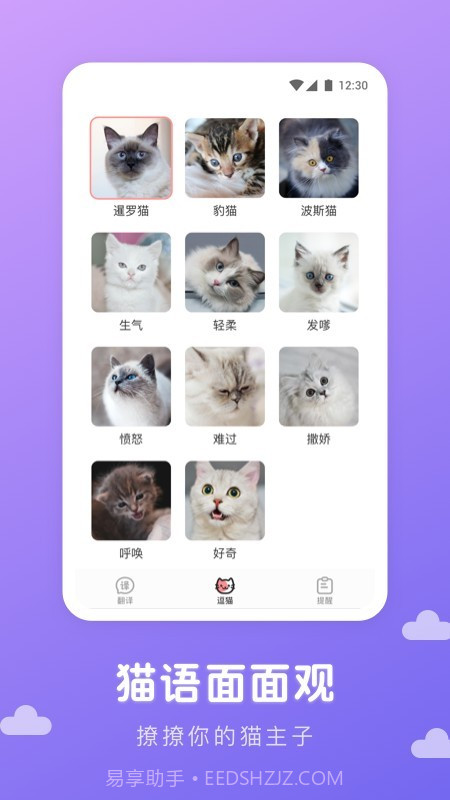 猫语翻译君截图2 猫语翻译君截图2