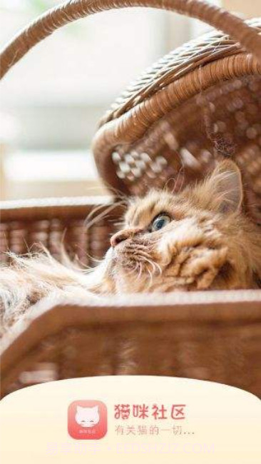 猫咪(宅男必备)截图2 猫咪(宅男必备)截图2