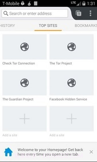 Orfox中文版截图1