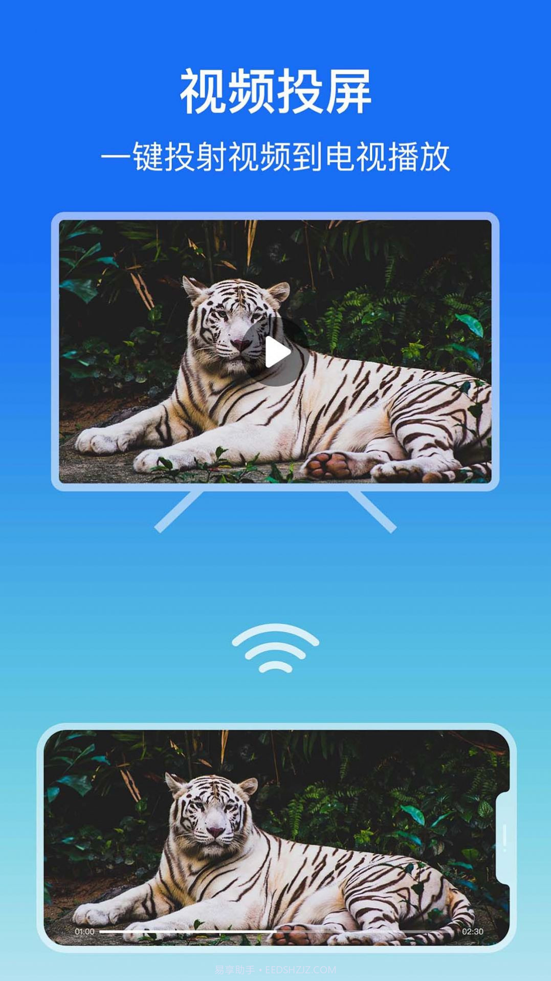 lbtp屏幕镜像截图2
