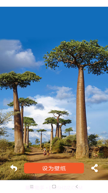 壁纸头像大全截图2 壁纸头像大全截图2