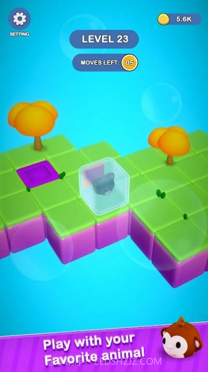 猫猫迷宫冒险截图2