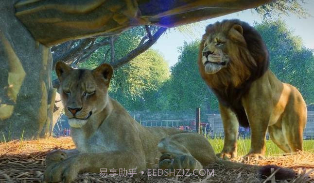 动物园之星手游模拟器截图1 动物园之星手游模拟器截图1