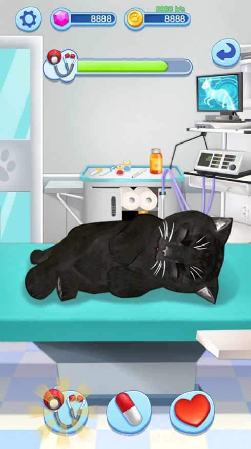 我的小猫咪养成记截图3 我的小猫咪养成记截图3