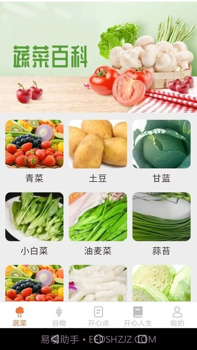 绿色菜园子截图4