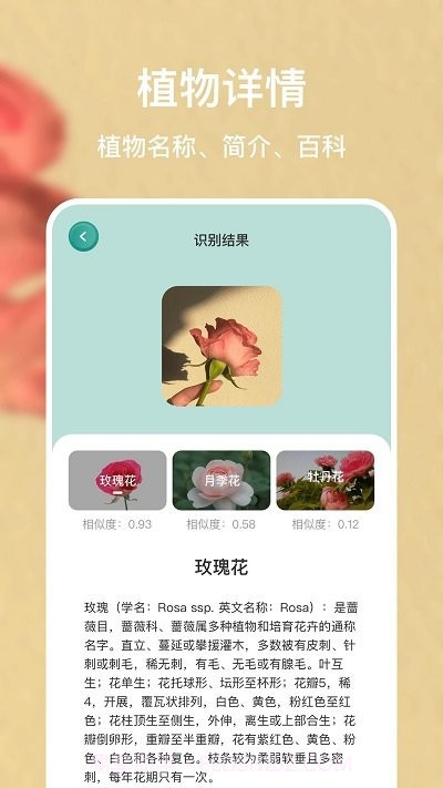识别花大师截图3 识别花大师截图3