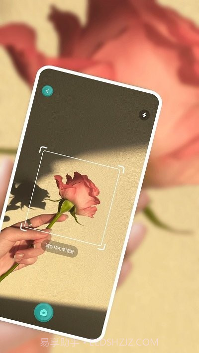 识别花大师截图2 识别花大师截图2