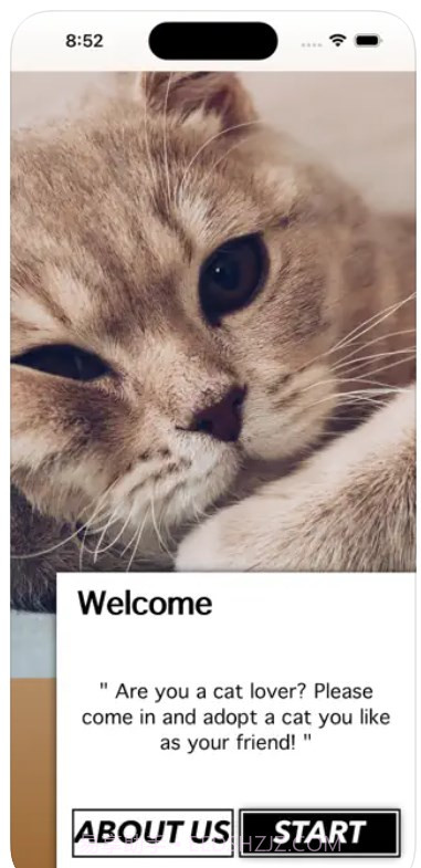 爱猫物语宠物店中文截图1 爱猫物语宠物店中文截图1