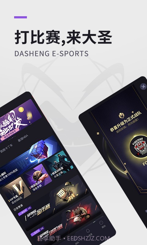 大圣电竞截图1