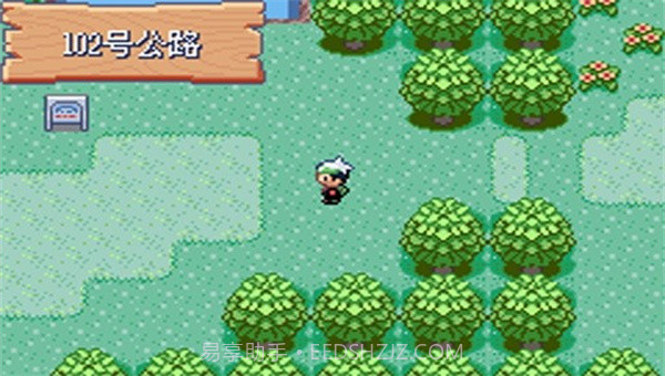 宝可梦剑盾全随机截图4