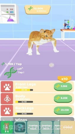 动物进化实验无限版截图1 动物进化实验无限版截图1