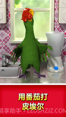 会说话的鹦鹉截图3