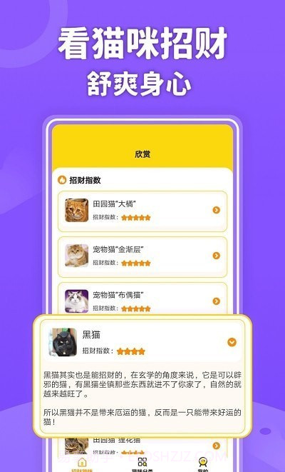 招财进猫学习截图2