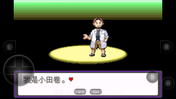 口袋妖怪：漆黑的魅影截图1