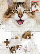 智能拼图游戏1000截图2 智能拼图游戏1000截图2