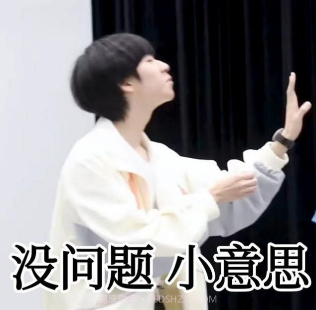 tnt时代少年团表情包无水印GIF图 v1.0截图4