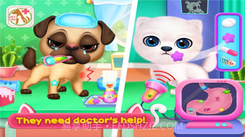 狗狗护理中心截图3 狗狗护理中心截图3