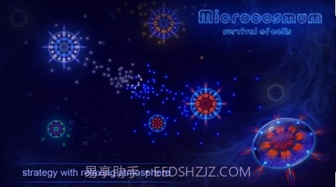 微细胞进化模拟器截图2 微细胞进化模拟器截图2