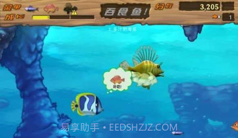 吞食鱼Feeding Frenzy截图1