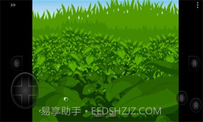 口袋妖怪四季之约截图2