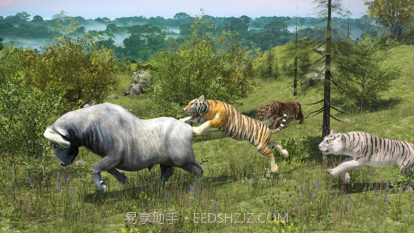 野生老虎模拟器截图2 野生老虎模拟器截图2