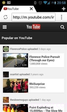 快速浏览器截图2