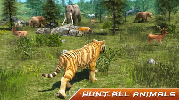 野生老虎模拟器截图1 野生老虎模拟器截图1