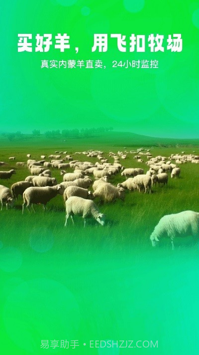 飞扣牧场截图4 飞扣牧场截图4