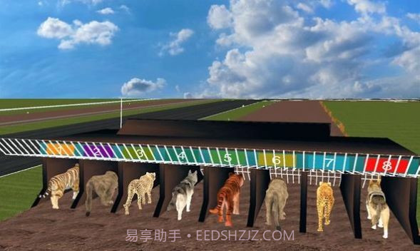 疯狂丛林动物竞速截图2 疯狂丛林动物竞速截图2