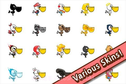 鹈鹕保罗 Pelican Paul截图5 鹈鹕保罗 Pelican Paul截图5