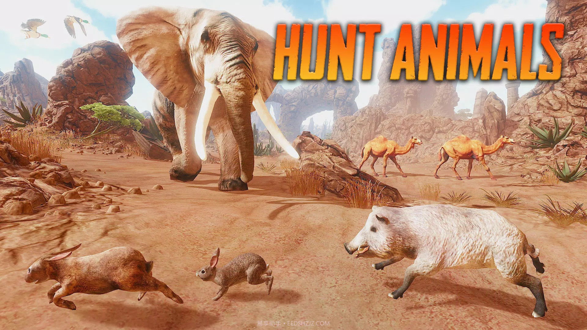 野猪模拟器截图3