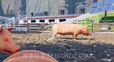 自己是一只猪截图1