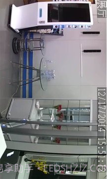 Univision截图2 Univision截图2