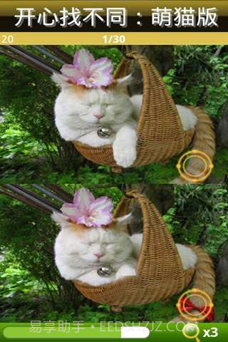开心找不同-萌猫版截图1